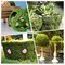 Fake Moss, 10.5oz Aftificial Decorative Green Grass for Centerpieces, Plant, Crafts, Flowers